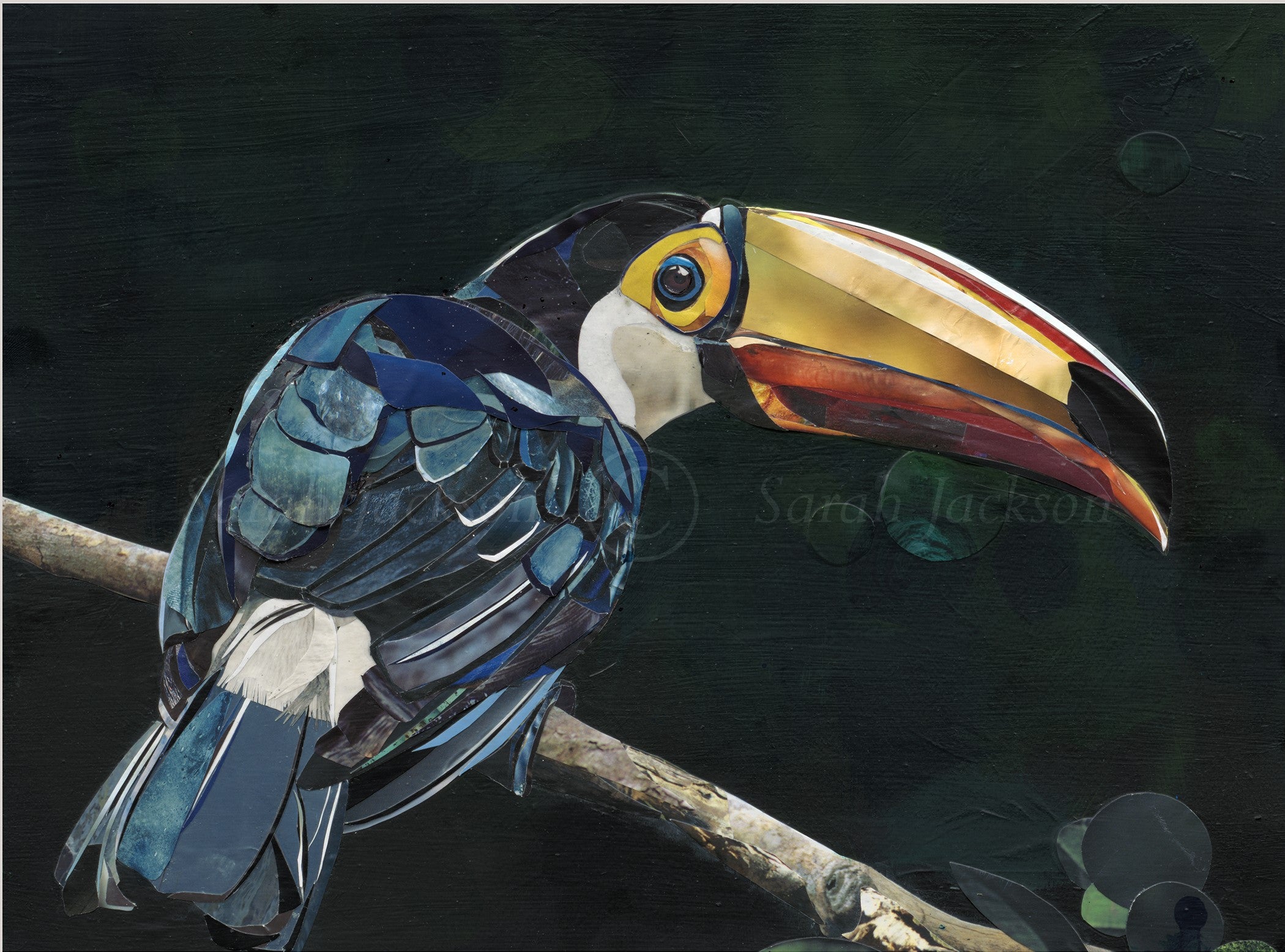 Sarah Jackson limited edition art print Wildlife toucan