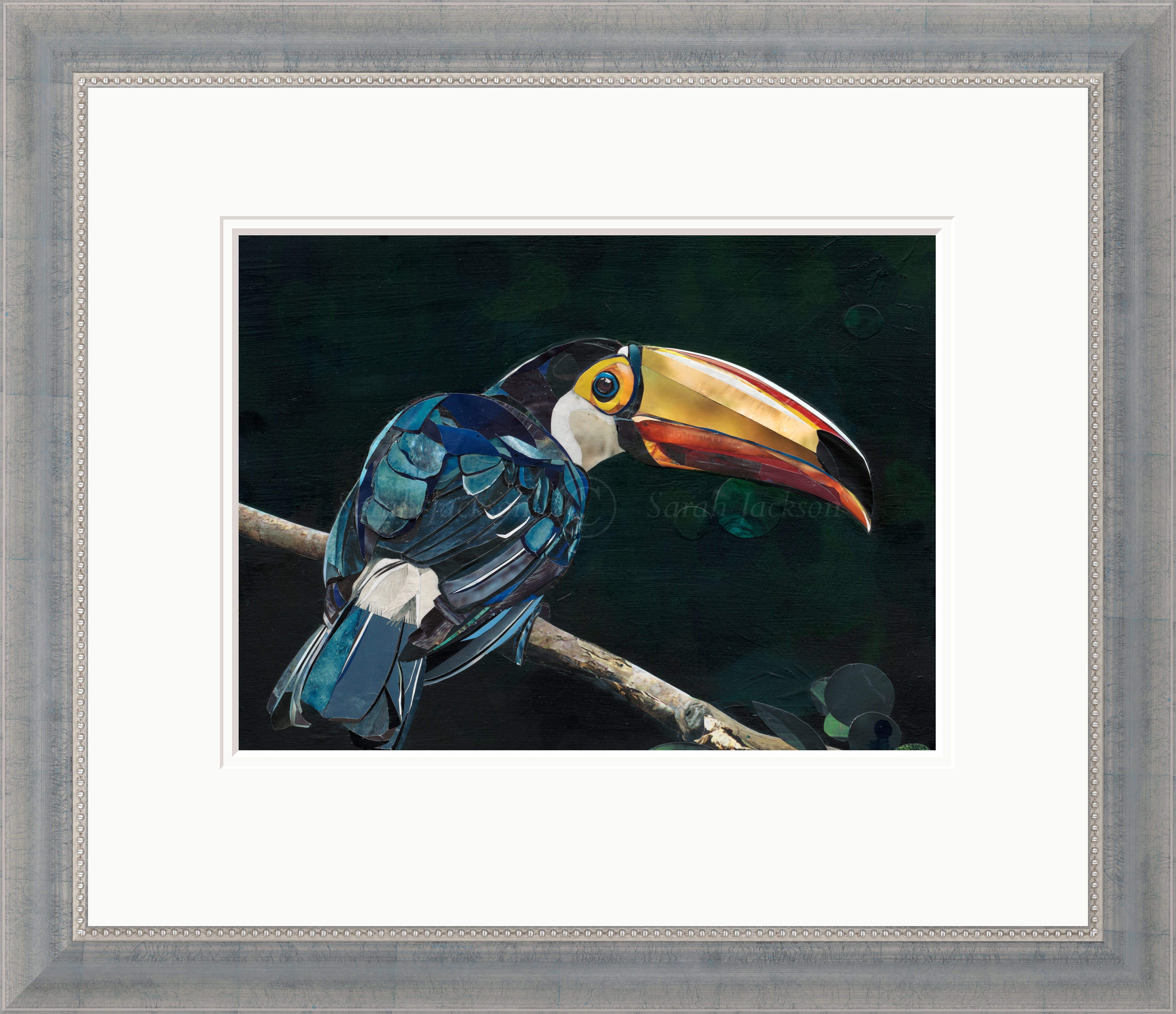 Sarah Jackson wildlife artist limited edition art print Toucan