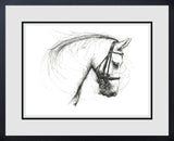 Framed black and white drawing of a horse's head
