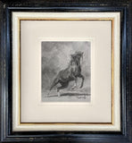 framed sketch of horse rearing on it's hind legs.