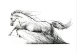 Framed black and white drawing of a horse in motion