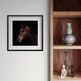 framed artwork of chestnut horse on white wall beside wooden shelves.