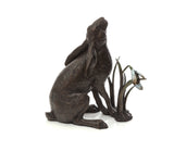 Michael Simpson solid bronze hare sculpture
