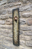 Squirrel Plaque