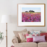 Paul Evans Landscape artist summer colours poppies meadow in roomset