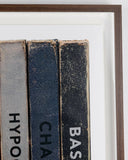 Artwork of three books with visible titles 'HYPO', 'CHA', and 'BAS' inside a wooden frame.