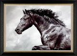 Debbie Boon horse limited edition canvas art print The Conqueror