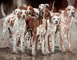 Debbie Boon hounds limited edition canvas art print 'The regiment'