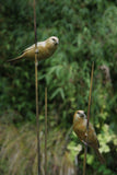 Two bronze birds perched on thin branches with a blurred green background
