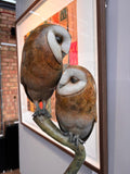 Adam Binder Pair of barn owls in the gallery