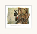 Great Spotted Woodpecker - The Lost Spells Jackie Morris & Robert MacFarlane