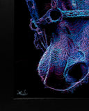 Neon blue and pink abstract art on a black background
