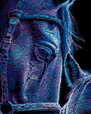 Neon depiction of a horse face on a black background