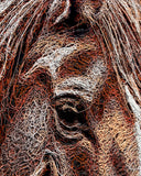 Close-up of a zebra's face with detailed pattern