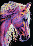 portrait artwork of a horse head in profile, rendered with vivid neon-like strokes in purple, pink, blue, yellow, and white against a black background.