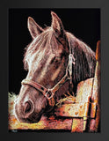 A framed art print depicting a close-up portrait of a brown horse with a bridle, rendered in a textured, sketch-like style against a black background.