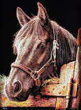 art print depicting a close-up portrait of a brown horse with a bridle, rendered in a textured, sketch-like style against a black background.