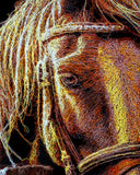 Detail image of horse face