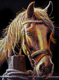 Portrait of a horse 