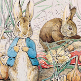 Benjamin Suggested They Fill by illustrator Beatrix Potter