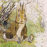 One Morning a Little Rabbit by illustrator Beatrix Potter 