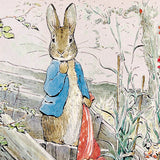 Peter Let the Handkerchief Go by illustrator Beatrix Potter