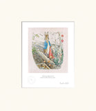 Peter Let the Handkerchief Go by illustrator Beatrix Potter