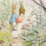 Benjamin Said It Was Not Possible by illustrator Beatrix Potter 