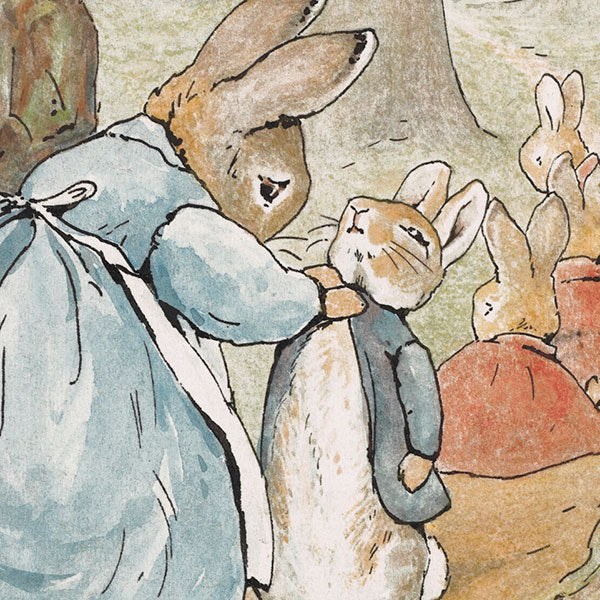 Peter Rabbit Is Heading To The  Peter rabbit illustration, Rabbit  illustration, Beatrix potter illustrations