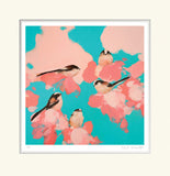 Heidi Langridge - Long-tailed Tits in blue and pink