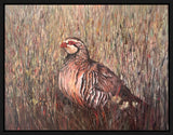 A framed painting of a brown and white french partridge standing in a field of tall grass