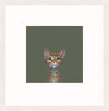 Ginger cat looking up on olive green background