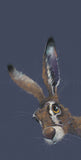 Nicky Litchfield hare artwork on blue background
