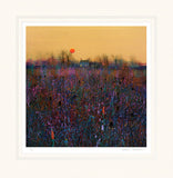 Paul Evans sunset landscape colourful art print 