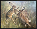 Two hares boxing in long grass