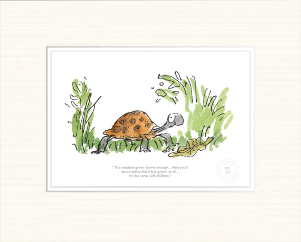 If a Creature Grows Slowly | Roald Dahl & Quentin Blake | Collector's ...