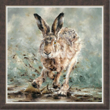 Splosh! - Artist Proof Edition