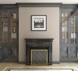A styled interior scene featuring a black fireplace with a gold screen, flanked by matching dark gray bookcases on a beige wall with a framed picture above.