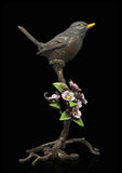 Richard Cooper Blackbird with Blossom 1046 Bronze sculpture