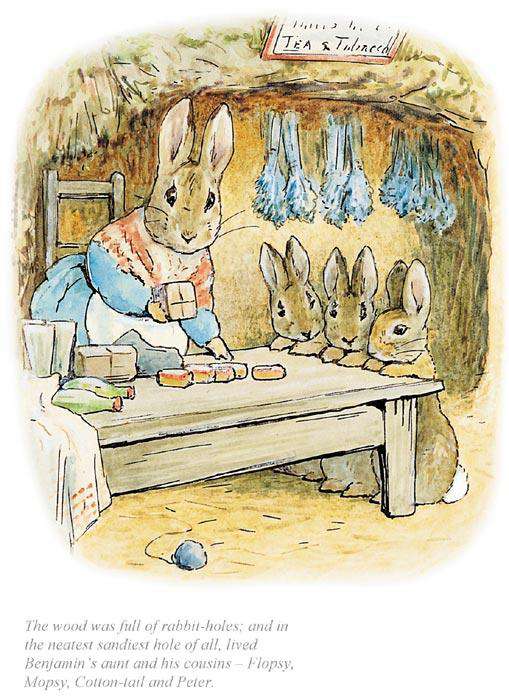 Beatrix Potter-The Neatest Sandiest Rabbit Hole Of All | Official Collectors Edition | Free UK Delivery 