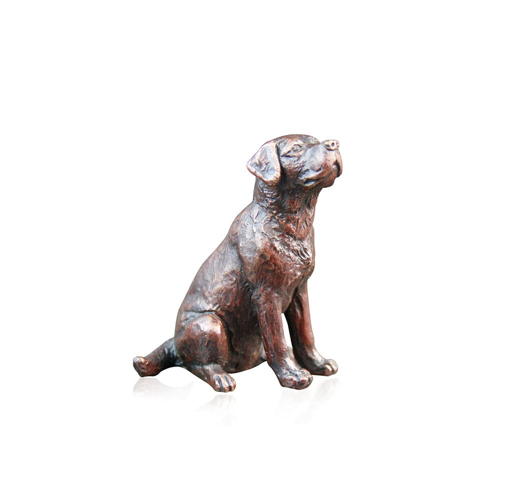 richard Cooper small labrador sitting solid bronze sculpture 864