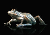 Keith Sherwin Small Frog Walking