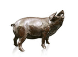 Richard cooper solid bronze sculpture Gloucestershire old spot pig 943
