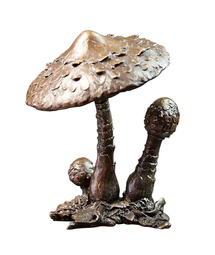 richard cooper solid bronze sculpture 968 parasol mushroom