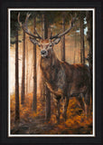 Anthony Dobson Forest Gaze framed artwork