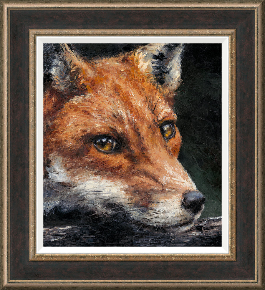 Anthony Dobson | The Rose Gallery