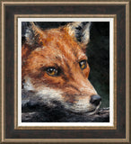 Anthony Dobson Red Fox Study framed artwork