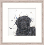 Aaminah Snowdon black labrador new release art print framed