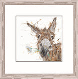 Aaminah Snowdon Flower Power framed artwork Donkey