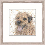 Aaminah Snowdon Happy Go Lucky New for 2019 Framed